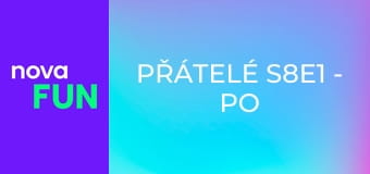 Přátelé S8E1 - Po svatbě