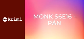 Monk S6E16 - Pán Monk na úteku