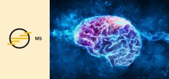 Magyar lángelmék - Micsonai András, PhD – adjunktus, ELTE Nap neuroimmunológiai kutatócsoport