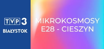 Mikrokosmosy E28 - Cieszyn