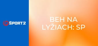 Beh na lyžiach: SP Engadin