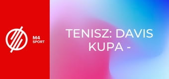 Tenisz: Davis Kupa - Negyeddöntő: Spanyolország – Csehország mérkőzés
