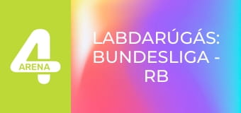 Labdarúgás: Bundesliga - RB Leipzig – Hoffenheim