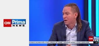 Estetika bez cenzury