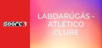 Labdarúgás - Atlético Clube de Portugal - Benfica