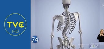 77 TV S5E1 - Przypadki szkolne