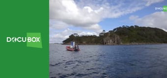 Polowa kuchnia Angela S1E3 - Makrela królewska