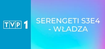 Serengeti S3E4 - Władza