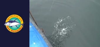 New Huck Finn, part 1