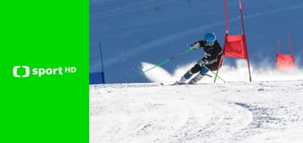 Alpské lyžování: SP mužů: Levi