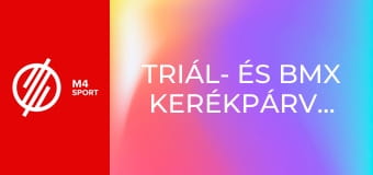 Triál- és BMX kerékpárverseny világbajnokság - BMX – Freestyle park, férfi döntő