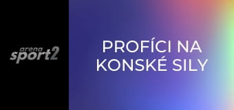 Profíci na konské sily