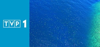 Planeta Ziemia III S3E2 - Oceany