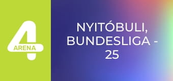 NyitóBuLi, Bundesliga - 25. forduló, felvezető műsor