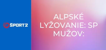 Alpské lyžovanie: SP mužov: Levi