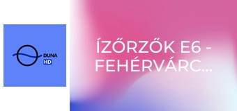 Ízőrzők E6 - Fehérvárcsurgó