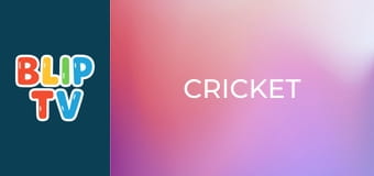 Cricket Cricket