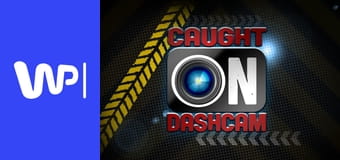 Wariaci za kierownicą: W świątecznym pędzie E1 - Wśród nocnej ciszy