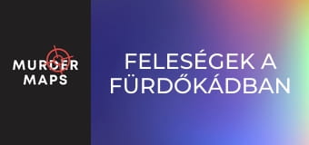 Feleségek a fürdőkádban Feleségek a fürdőkádban