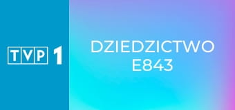 Dziedzictwo E843