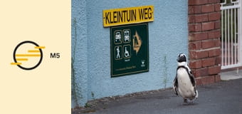 Vad vidékek - Metropolisz E3 - Kitaszítottak