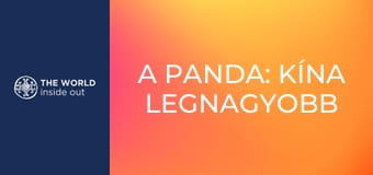 A panda: Kína legnagyobb kincse. Élet egy hegyi faluban. Kína.