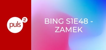 Bing S1E48 - Zamek z piasku