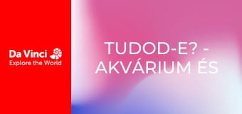 Tudod-e? - Akvárium és fürdőkád Tudod-e? - Akvárium és fürdőkád