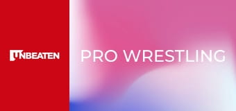 Pro Wrestling