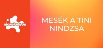 Mesék a tini nindzsa teknőcökről S1E11 - Leonardo nyeregbe ül Mesék a tini nindzsa teknőcökről S1E11 - Leonardo nyeregbe ül