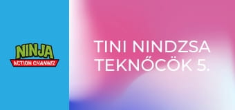 Tini nindzsa teknőcök 5. évad 5. rész