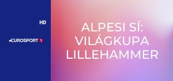 Alpesi sí: Világkupa Lillehammer férfiak - Műlesiklás 2. futam