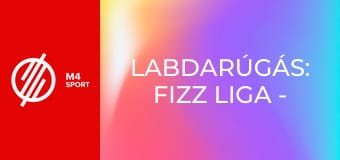 Labdarúgás: Fizz Liga - Kisvárda Master Good – Puskás Akadémia FC mérkőzés