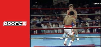 Ökölvívás - Mickey Ward kiütései, ism., HD