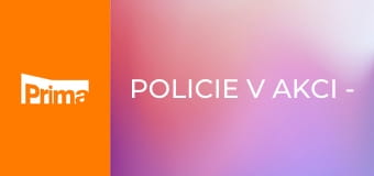 Policie v akci - Ukradený invalidní vozík / Kolaps na Hlaváku / Žárlivka / Pachatel ve squatu