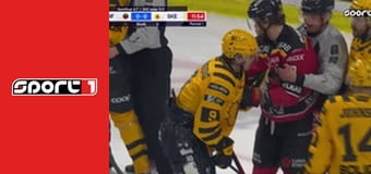 Lední hokej - Lulea - Skelleftea