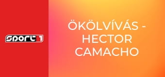 Ökölvívás - Hector Camacho Jr vs Bryon Mackie, ism., HD