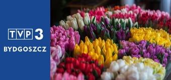 Kwiaty na warsztat S3E6 - Hydroponika, prosta metoda na zawsze podlane rośliny dla zapominalskich