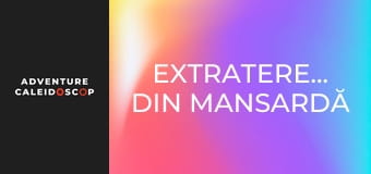 Extratereștrii din mansardă