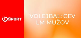Volejbal: CEV LM mužov