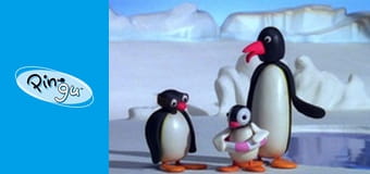 Pingu Sezon 6 Odcinek 23