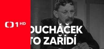 Ducháček to zařídí