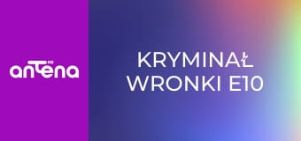 Kryminał Wronki E10