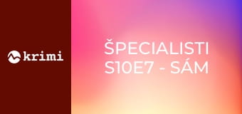 Špecialisti S10E7 - Sám proti mafii