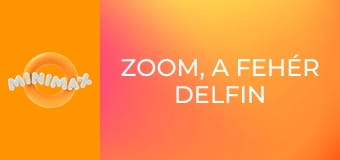 Zoom, a fehér delfin S1E21 - A nagy verseny Zoom, a fehér delfin S1E21 - A nagy verseny