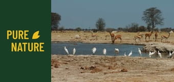 Păsările uimitoare din Africa - partea 2