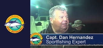 Freelance - Twilight