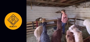 Pracowałem jako opiekun alpak