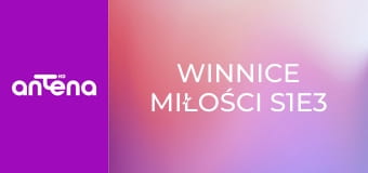 Winnice miłości S1E3