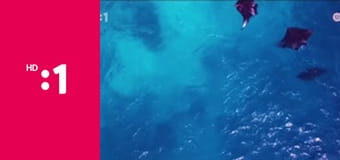 Bez batožiny E11 - Maldivy – Potápanie